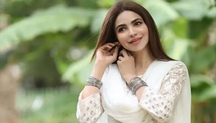 حمیرا اصغر موت کے وقت مالی بحران کا شکار تھی، تفتیشی حکام