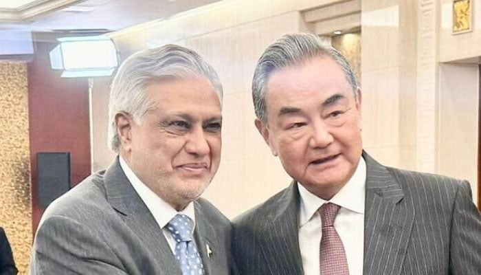 زراعت اور کانکنی میں پاکستان کیساتھ تعاون کیلئے تیار ہیں، چینی وزیر خارجہ