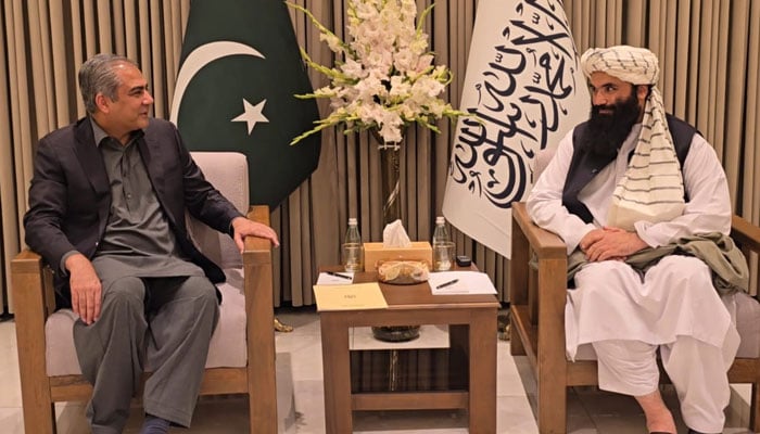 محسن نقوی کابل پہنچ گئے، افغان قائدین سے ملاقاتیں