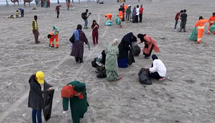 ساحل سمند رکی صفائی مہم، ایم ڈی سندھ سالڈ ویسٹ مینجمنٹ بورڈ کی شرکت