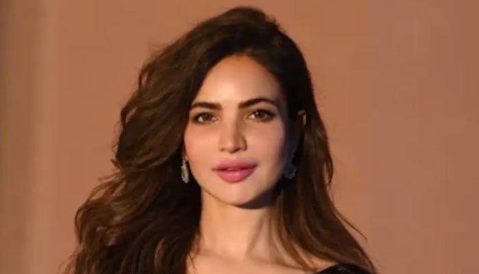 حمیرہ اصغر اور مالک مکان کے مابین 2019 سے کرائے کا تنازع کا انکشاف