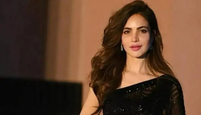 حمیرا کا قتل، اہل خانہ سے پوچھیں مقدمہ درج کرانا چاہتے ہیں؟ عدالت