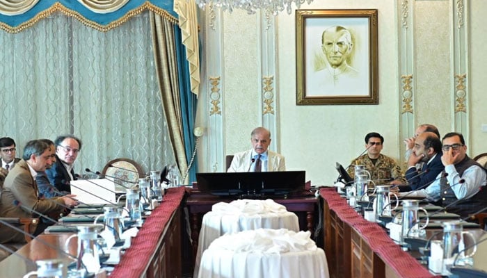 ایف بی آر میں جدید ڈیجیٹل ایکو سسٹم کی تشکیل کی منظوری، عالمی ماہرین کی خدمات حاصل کرنے کی ہدایت