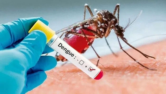 کراچی میں رواں سال ڈینگی سے پہلی ہلاکت رپورٹ