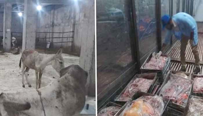 اسلام آباد، فوڈ اتھارٹی کا چھاپہ، گدھوں کا 25 من گوشت برآمد
