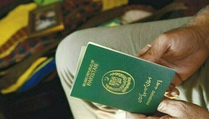 اوورسیز پاکستانیوں کو بھی قومی ہیروز کی لسٹ میں شامل کیا جائے، اوور سیز پاکستانیز