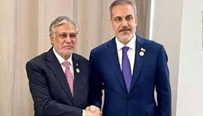 پاکستان اور ترکیہ کی غزہ میں سنگین ہوتے انسانی بحران پر شدید تشویش، فوری جنگ بندی کا مطالبہ