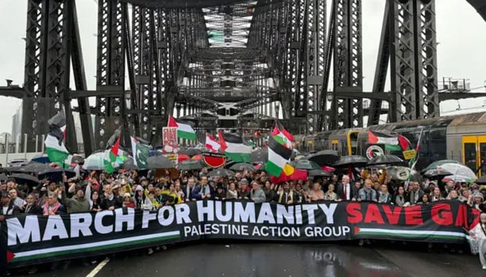 فلسطینیوں کے حق میں آسٹریلیا کے ہاربر برج پر لاکھوں جمع، برطانیہ، جرمنی، ڈنمارک میں بھی مظاہرے