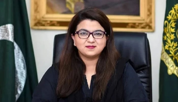 ٹک ٹاک کے تعاون سے پاکستان میں اسٹیم فیڈ کے آغاز کا اعلان