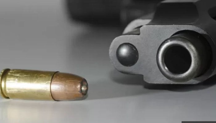 جائیداد کا تنازع، شقی القلب ملزم نے والد، بھائی اور بھابھی کو قتل کردیا