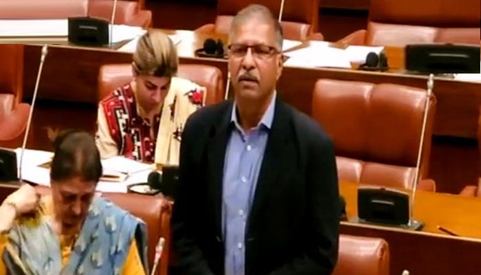 پاکستان کا ایک کلچر ہے جو کہتا ہے کہ جو بویا جائے گا وہی کاٹو گے، سینیٹر سید علی ظفر
