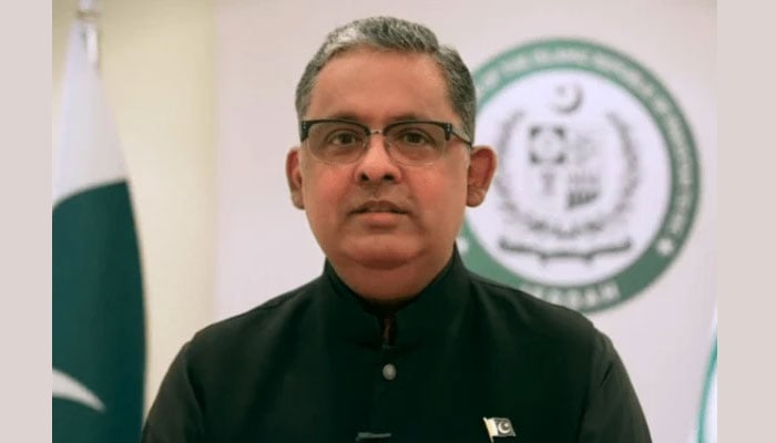 پاک، امریکہ تعلقات ناگزیر، خطے کے امن کیلئے اہمیت رکھتے ہیں، رضوان سعید شیخ