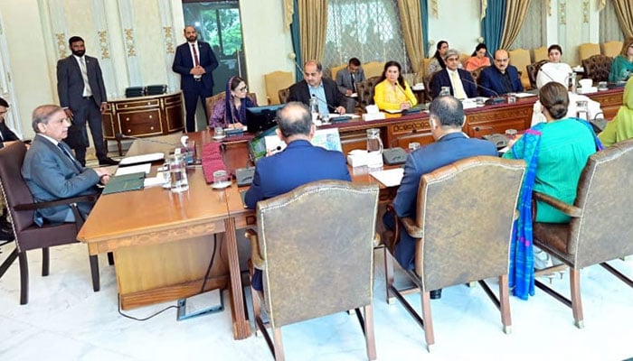 ’’ایک بیٹی، ایک شجر‘‘ وزیراعظم نے سالانہ مون سون شجرکاری مہم کا آغاز کردیا