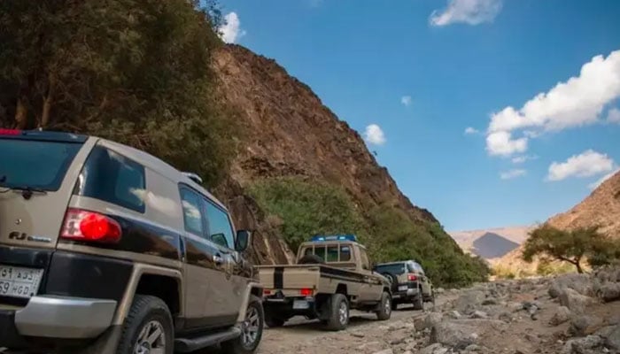 سعودی عرب: اقامہ، محنت اور سرحدی سیکیورٹی کے قوانین کی 22 ہزار خلاف ورزیاں
