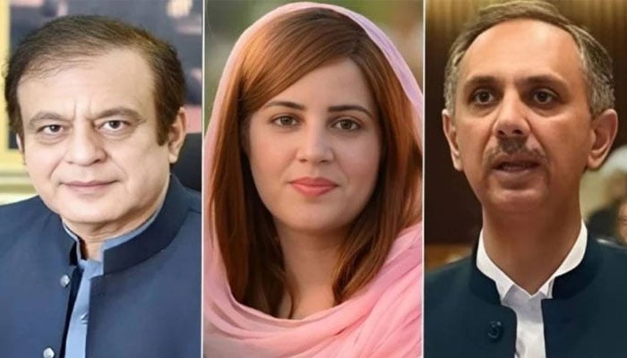 رانا ثناء کے گھر حملے کا کیس، عمر ایوب، شبلی فراز، زرتاج گل سمیت 59 ملزمان کو 10-10 سال قید کی سزا