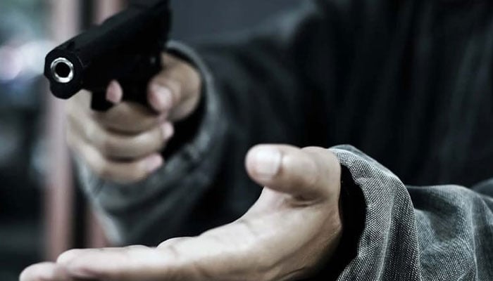 مسلح ملزمان نے گھر کے باہر فیملی کو لوٹ لیا