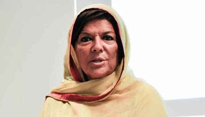 آپ لوگ شیطانیاں کرتے ہیں صحافی کے سوال پر علیمہ خان ناراض