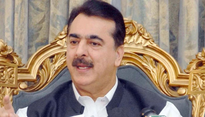 چیئرمین سینیٹ یوسف گیلانی سے سینیٹر سرمد علی کی ملاقات