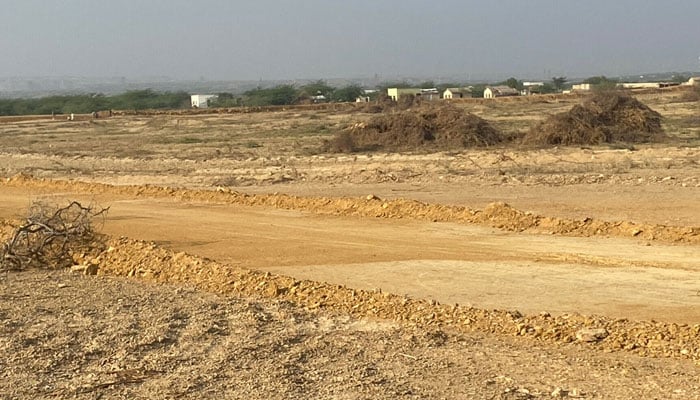 ضلع ملیر میں 476 ایکڑ اراضی غیر قانونی طور پر لیز پر دی گئی، گواہ