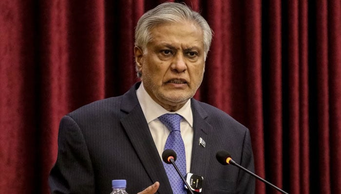 افغانستان سے کہا ہے ٹی ٹی پی کیخلاف کارروائی کرے یا دہشت گردوں کو ہمارے حوالے کرے، اسحاق ڈار