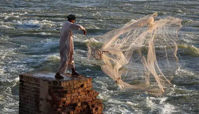 امریکا کو مچھلی اور اس کی مصنوعات کی برآمد، پاکستان کو چار سال کی توسیع کا اختیار مل گیا