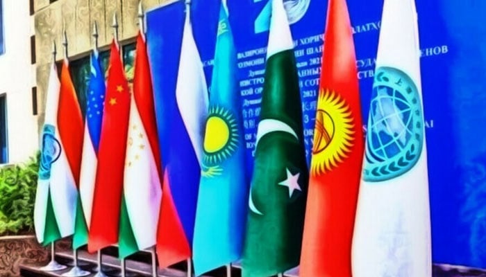 چین میں شنگھائی تعاون تنظیم کا اجلاس، عالمی سیاست کا نیا رخ؟