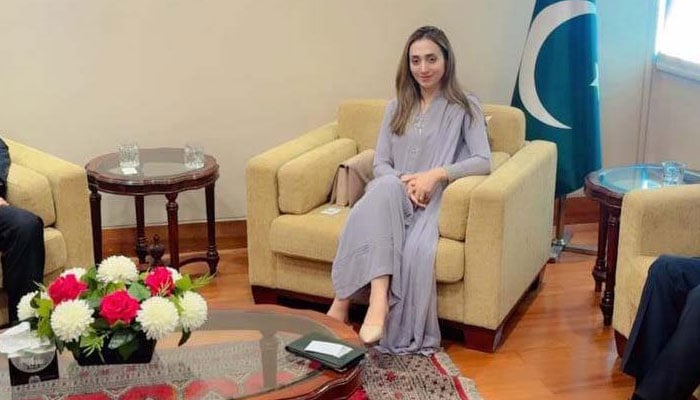 چیئرمین سینیٹ کی مشیر مصباح کھر کی تھائی لینڈ کے، سفیر سے ملاقات