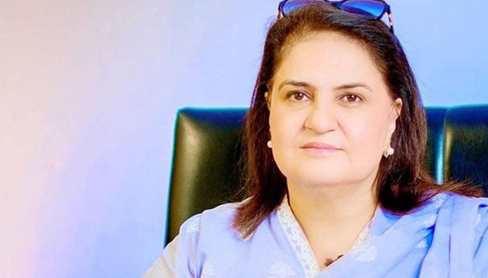 چیئرپرسن بینظیر انکم سپورٹ پروگرام کی خیبر پختونخوا حکومت پر تنقید