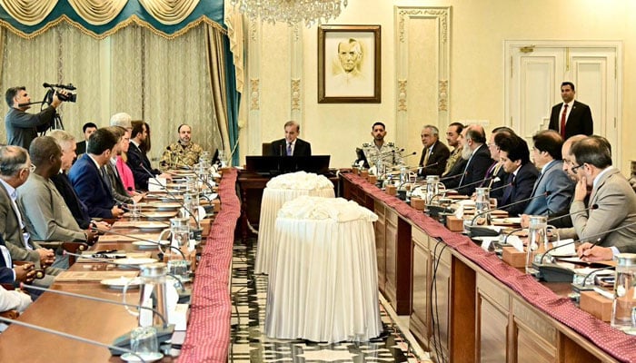 امریکی سرمایہ کاری تاریخی سنگ میل، سونا، تانبا و دیگر نایاب معدنیات نکالنے کیلئے 2 کمپنیوں سے پرائم منسٹر ہاؤس میں 2 ایم او یوز پر دستخط