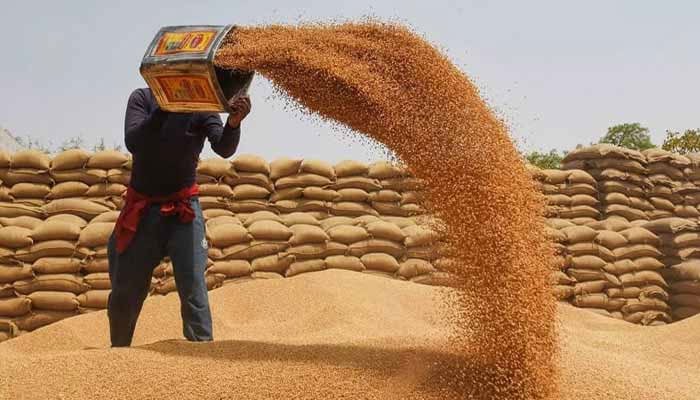 حکومت نے قومی گندم پالیسی کا روڈ میپ پیش کر دیا