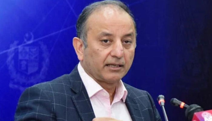 ملک میں 900 افراد جاں بحق، ابھی سے آئندہ مون سون کی تیاریاں کرنا ہوں گی، مصدق ملک