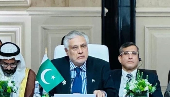 اسرائیل سے نمٹنے کیلئے ٹاسک فورس تشکیل دی جائے، اسحاق ڈار، اسلامی ممالک کا اجلاس آج دوحا میں ہوگا