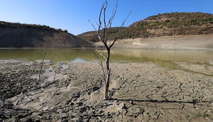 عراق : تاریخی دریائے فرات بدترین خشک سالی کا شکار ہوگیا