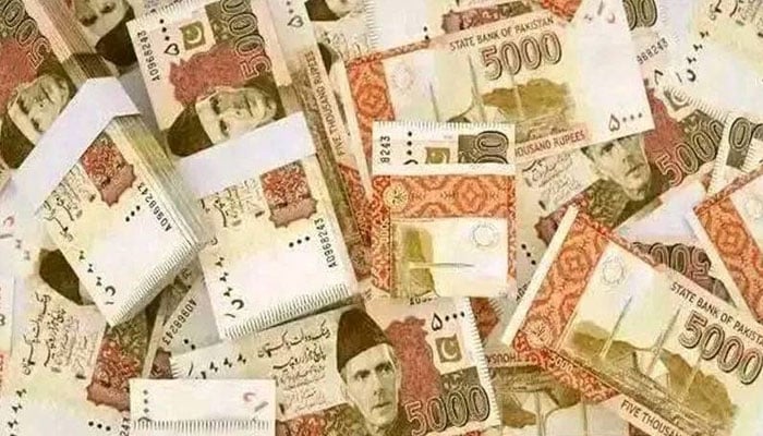 انٹرنیشنل پیکجنگ فلمز گروپ کی فی شیئر آمدنی میں 12 گنا اضافہ