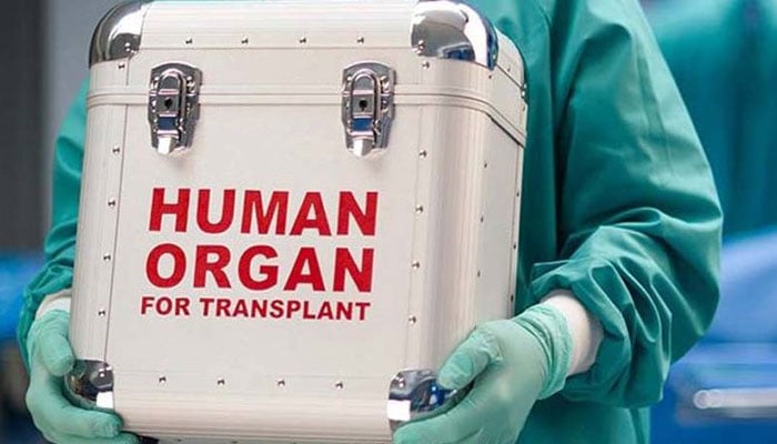 کمبوڈیا میں پاکستانیوں پر مظالم اور انسانی اعضا کی فروخت کا انکشاف