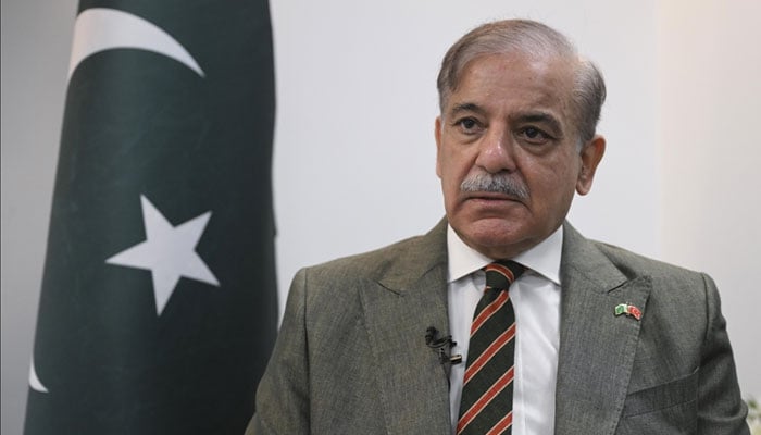 وقت آ گیا ہے کہ کشمیر اور فلسطین جیسے خطوں میں اب امن قائم ہو، وزیر اعظم شہباز شریف