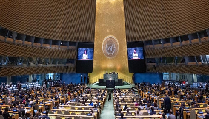 اقوام متحدہ اجلاس، فلسطینی ریاست کے تذکرے کے دوران کئی عالمی رہنماؤں کے مائیک اچانک بند