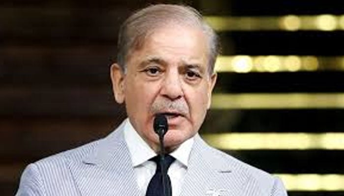 گردشی قرض سے نمٹنا بڑی کامیابی، ملک مشکلات سے نکل آئے گا، وزیراعظم