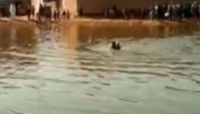 میہڑ، بہن کو بچاتے ہوئے 3 بہنیں سیلابی پانی میں ڈوب گئیں