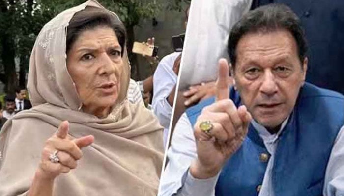 بانی پی ٹی آئی نے علیمہ خانم کو پارٹی معاملات میں مداخلت سے روک دیا