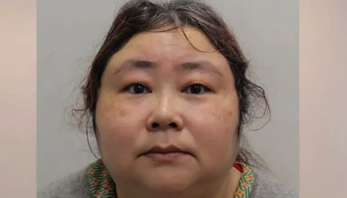 دنیا کے سب سے بڑے کرپٹو کرنسی فراڈ میں ملوث چینی خاتون کو برطانوی عدالت سے سزا