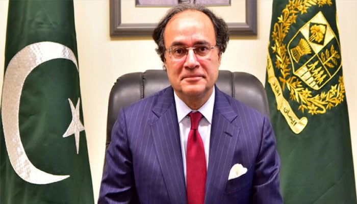 سیلاب نقصانات کیلئے عالمی امداد نہیں لیں گے، اس سال بیرون ملک سے 41 تا 43 ارب ڈالر ترسیلات زر آئیں گی، وزیر خزانہ