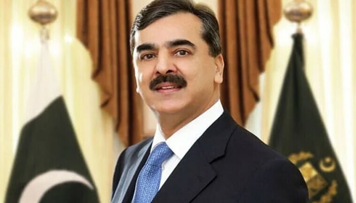 اسرائیل سے متعلق کوئی فیصلہ کیا نہ کرنے جارہے ہیں، قائم مقام صدر گیلانی