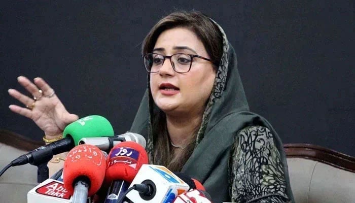 مباحثے کا چیلنج قبول، مرسوں مرسوں کے نعرے والے صوبائی کارڈ کھیل رہے ہیں، ن لیگ
