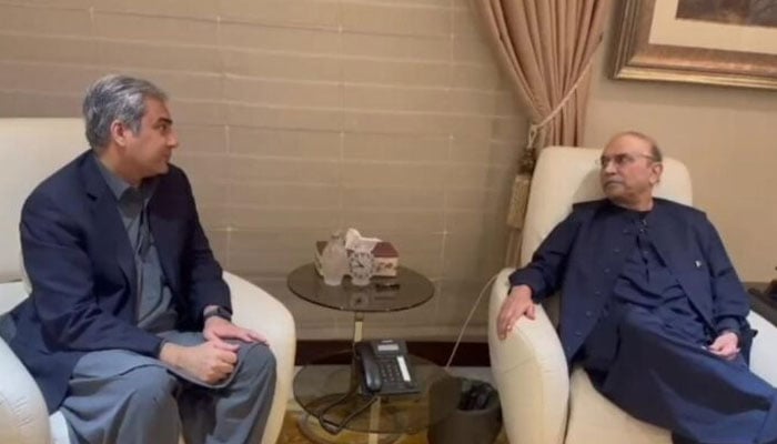 دو حکمراں اتحادیوں میں کشیدگی، صدر زرداری سے محسن نقوی کی ملاقات