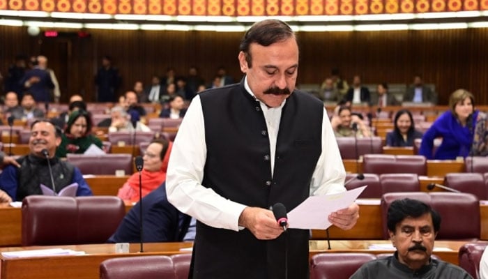 کرپٹو کرنسی کے غیرقانونی استعمال کے شواہد نہیں ملے، اسے منظم قانونی نظام کے تحت لانا چاہتے ہیں، حکومت