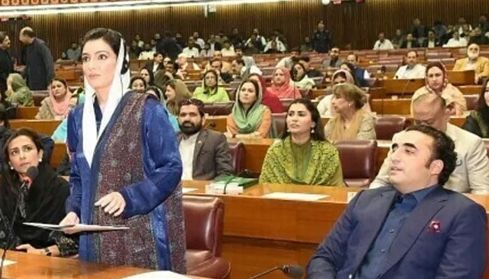 سیز فائر کے بعد پیپلز پارٹی اراکین نے قومی اسمبلی اجلاس کا بائیکاٹ ختم کردیا