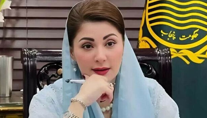 مریم نواز کے دور میں پنجاب میں عملی منصوبے شروع ہوئے، اوورسیز پاکستانی