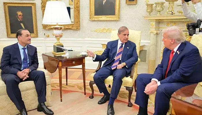 مصر: شہباز اور فیلڈ مارشل کی ٹرمپ سے آج ایک اور ملاقات کا امکان