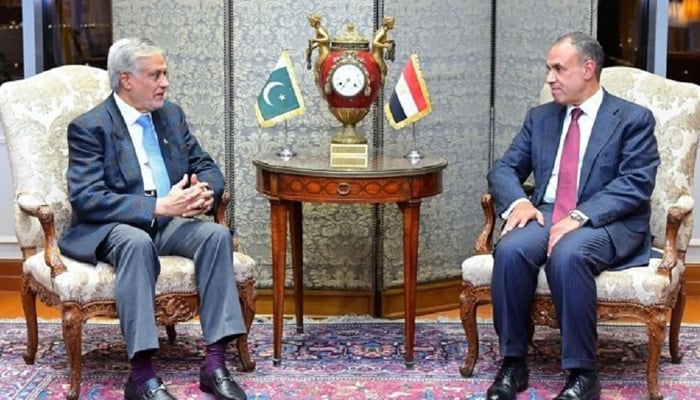 اسحاق ڈار کی مصر کے وزیرِ خارجہ سے ملاقات، غزہ میں امن، استحکام، انسانی امداد کی فوری ضرورت پر تبادلہ خیال